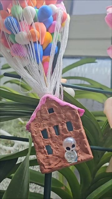 Ураган за окном и в оранжере🫣#орхидеи #flowers #orchid #оранж смотреть онлайн