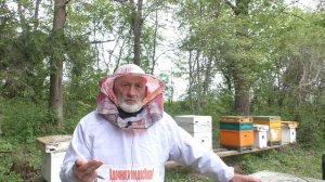 Холодный май. Что делать пчеловоду.