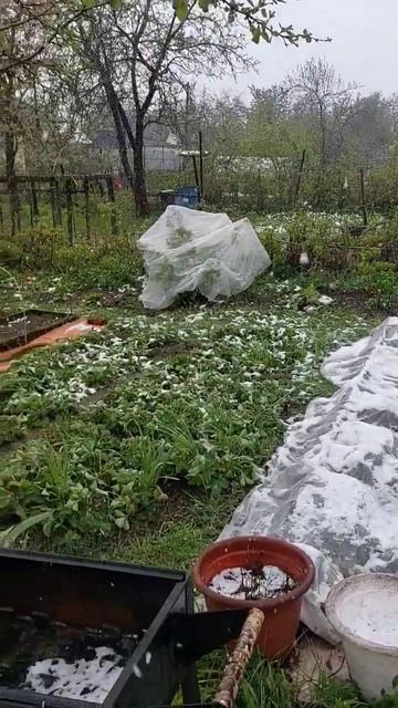 перенос новогодних праздников на май... 8 мая, нижний н смотреть онлайн