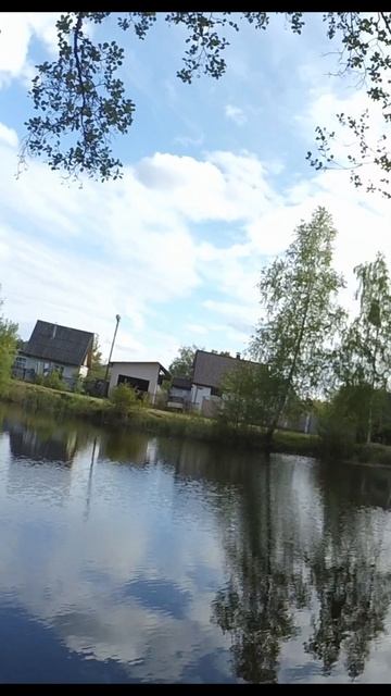 Когда ротан срезал последнюю мормышку #fishing #рыбалка смотреть онлайн