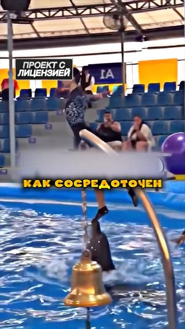 Невероятный дельфин 😯 #shorts #short #шорт #шортс #шортсы #шо смотреть онлайн