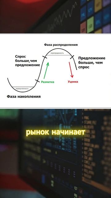 Фазы рынка в крипте #инвестиции #crypto #криптовалюта #bitco смотреть онлайн