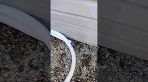 Плохая производительность песчаного фильтр-насос Intex.