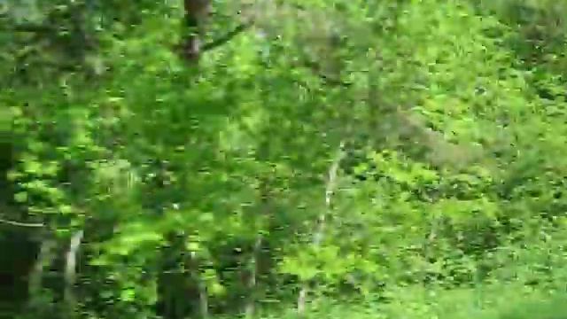 Куршская коса. Едем всё дальше смотреть онлайн