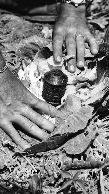 Зачем японские солдаты стучали гранатой по каске? #shorts смотреть онлайн