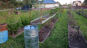 96 метров гряд. Как я отдохнула на даче в майские праздники