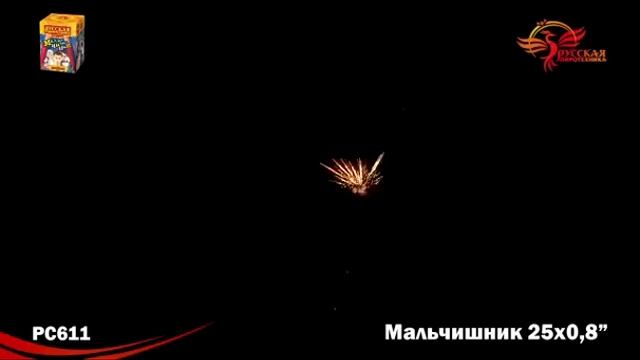 РС611 Мальчишник