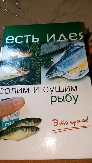 Тестовое видео, снятое на недорогой телефон 🙂тест N1