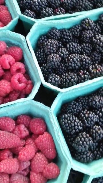 🍓Каждый день собираем вкуснейшие ягоды клубники и ма смотреть онлайн