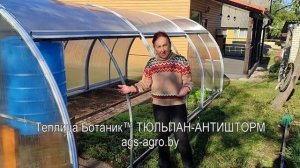 Отзыв о теплице ТЮЛЬПАН-АНТИШТОРМ - собирали сами!