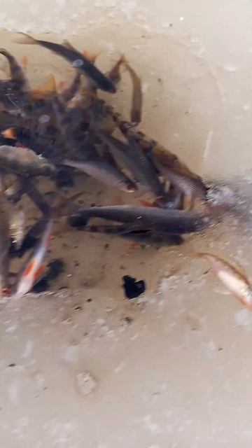 #рыбалка #последний день #рекомендации смотреть онлайн