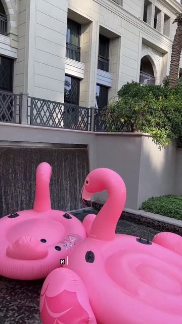 Как я проникла в отель бесплатно. Название бассейна в ? смотреть онлайн