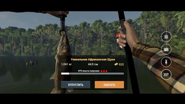Fishing Planet | Конго.Африканская щука( все виды).Congo.African pike.#f