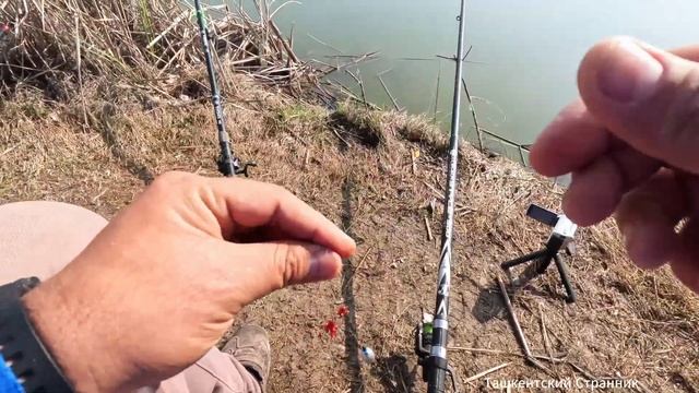 Рыбалка в Узбекистане. Озеро Яваш в Чиназе.