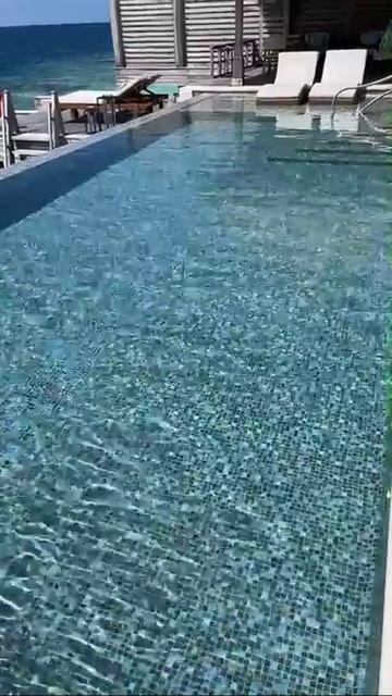 А4 новые видео #shorts #подпишись🙏🥺 смотреть онлайн