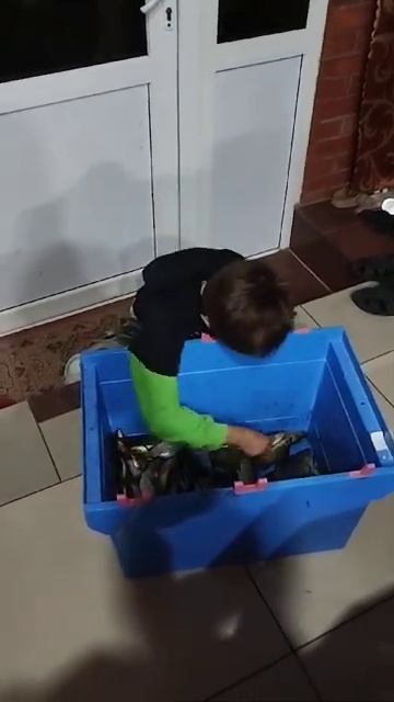 Обзор улова. Улов с лимана. Обзор УЛОВА красный конь. Р? смотреть онлайн