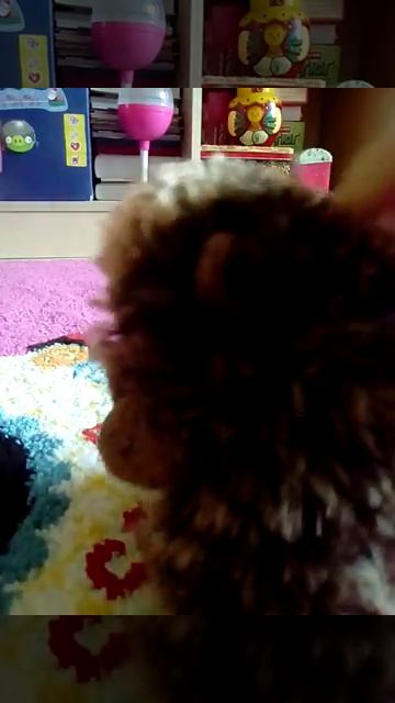 Мама сшила мне штаны😂... смотреть онлайн