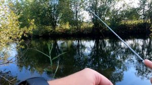 MiFine Ghost Blade 0.2-0.6 g. | Мой взгляд на Спиннинг | Хищный Мормы