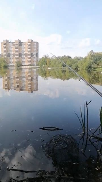 Fishing39 #fishing #рыбалка #удочка #калининград смотреть онлайн