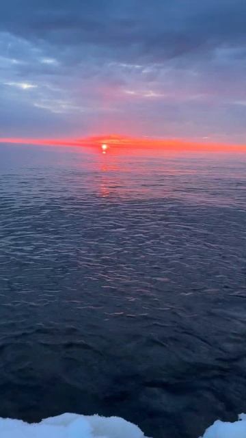 Просто прислушайтесь#сахалин #шумморя #мирживотных #nat