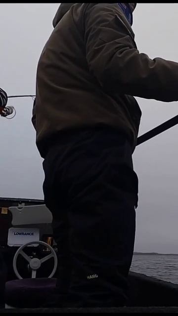 Чётко #калмыкия #fishing #рыбалка #volga #цаганаман #рыбалкас? смотреть онлайн