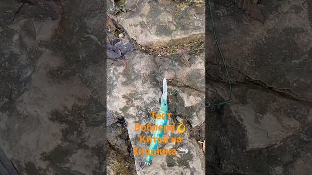Рыбалка 🦈🪝Тест Нового Китайского Воблера. #блеснана смотреть онлайн
