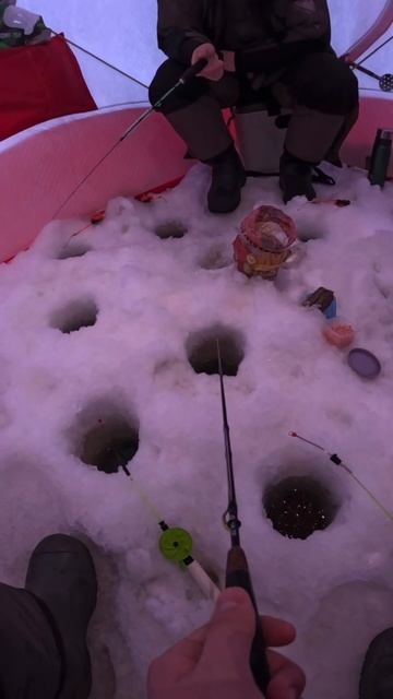 Ловля корюшки на Белом море. Зарисовка с незапланиров? смотреть онлайн