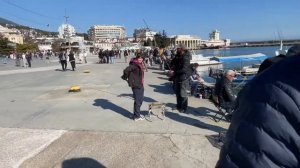 Рыбалка на набережной Ялты.Кефаль подошла к берегу.Ры?