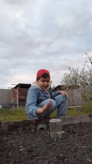 Как защитить грядки смотреть онлайн
