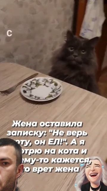 Дайте поесть #актив #automobile #казань #music #funny #гусь #memes #ед? смотреть онлайн