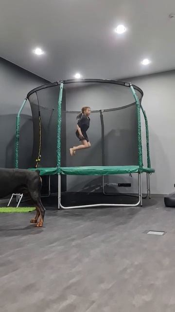 Когда у тебя есть батут, но нет соседей.