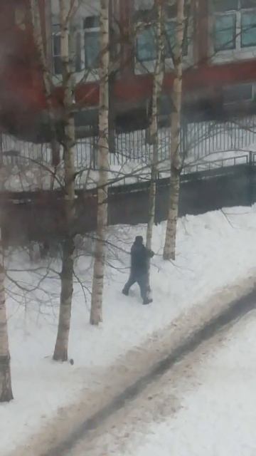 Пропалывание берёзы!Смотреть всем,ржака смотреть онлайн