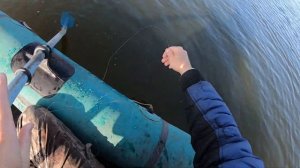 щука в ноябре на кружки ,ловля старым дедовским способ