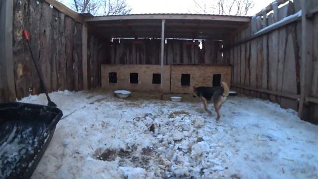 БУДНИ ПРИЮТА И ЖИЗНЬ ЕГО ОБИТАТЕЛЕЙ! ЗДЕСЬ ВЫ МОЖЕТЕ Н? смотреть онлайн