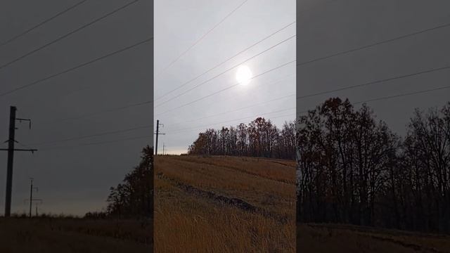Лес Большой Белой Деревянной Куклы. Окрестности села ? смотреть онлайн