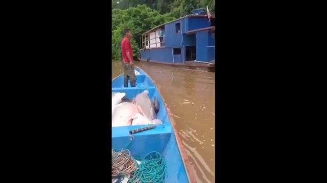 ПРИКОЛЫ НА ЗИМНЕЙ РЫБАЛКЕ 2024-2025 // ТРОФЕЙНАЯ РЫБАЛКА // ? смотреть онлайн