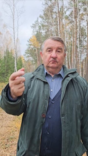 ЗАКОН ЕСТЬ ЗАКОН смотреть онлайн