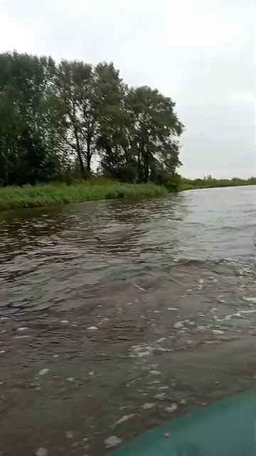 А это Видео разорвёт интернет🤣 самые лучшие рыбаки м? смотреть онлайн