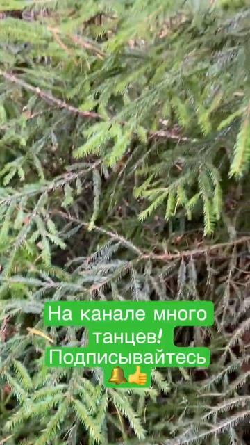 ОСЕННИЙ ЛЕС смотреть онлайн