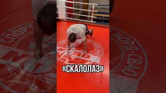 Упражнения #бокс #удар #спорт #boxingtraining #боец #mma #трениро смотреть онлайн