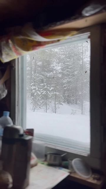 #охота #рыбалка #зима #fishing #snow #зимняярыбалка #коми #люб? смотреть онлайн