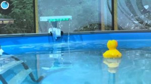 КАКУЮ ХИМИЮ ЛУЧШЕ ИСПОЛЬЗОВАТЬ ДЛЯ ОЧИСТКИ ВОДЫ В БАС?