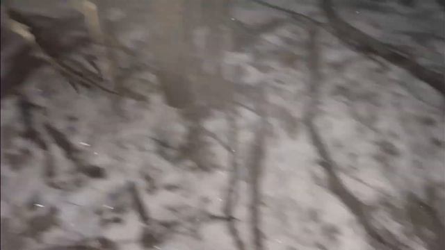 Одна из лучших моих охот в 2022 году. Два кабана и косуля с подхода. Arkon. Саратовская область. смотреть онлайн