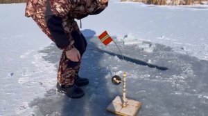 ПЕРВЫЙ ЛЕД 2024-25!Рыбалка на Самодельные ЖЕРЛИЦЫ  на ЩУК?