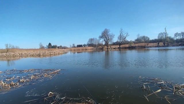 Ловля щуки после нереста весной, ловля щуки на блесну