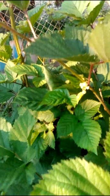 Нельзя начать сначала,если упал,надо начинать с того м смотреть онлайн