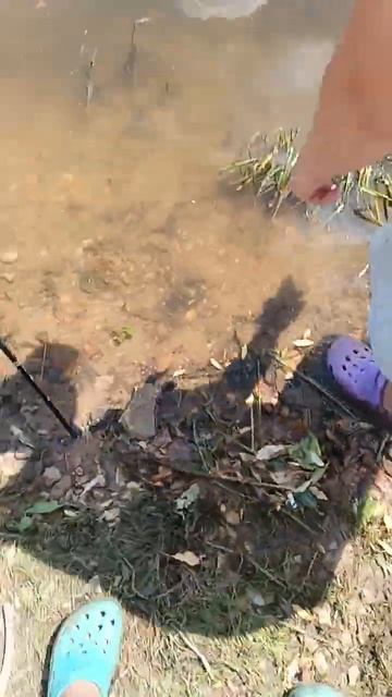 рыбалка на оке #edit #рыбалка #carpfishing #fishing #карп #carp #щука