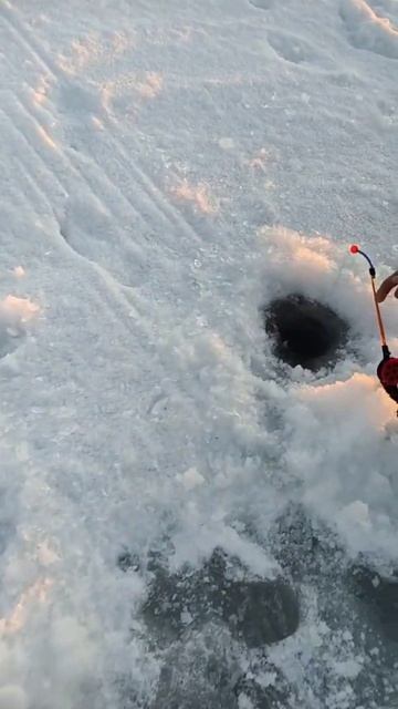 А ТЫ КОГДА ПОДНИМЕШЬСЯ #финскийзалив #корюшка #весна #о смотреть онлайн