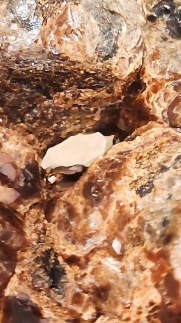 Гранат альмандин с тремолитом и кальцитом