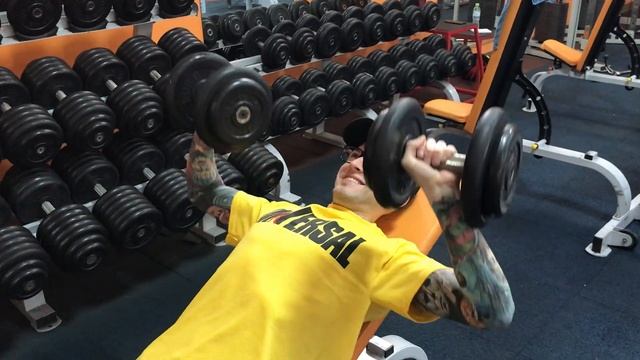 Жим гантелей в наклоне смотреть онлайн